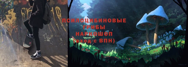 бутират Нягань