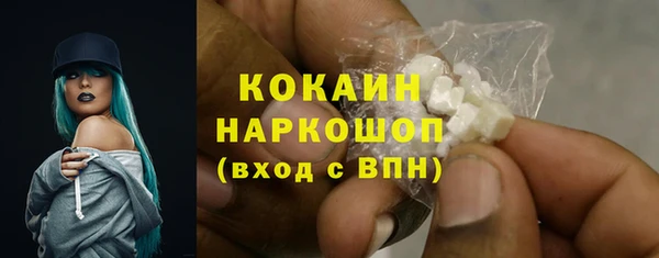 метадон Няндома