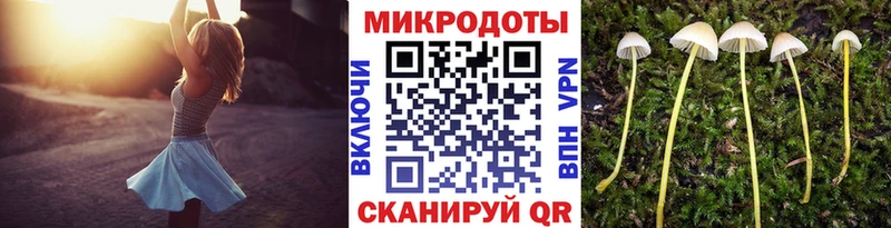 KRAKEN ТОР Чкаловск Псилоцибиновые грибы Magic Shrooms